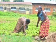 Journée internationale de la femme africaine: Comment se positionne la femme rdcogonlaise dans le secteur minier ? Femmes africaines