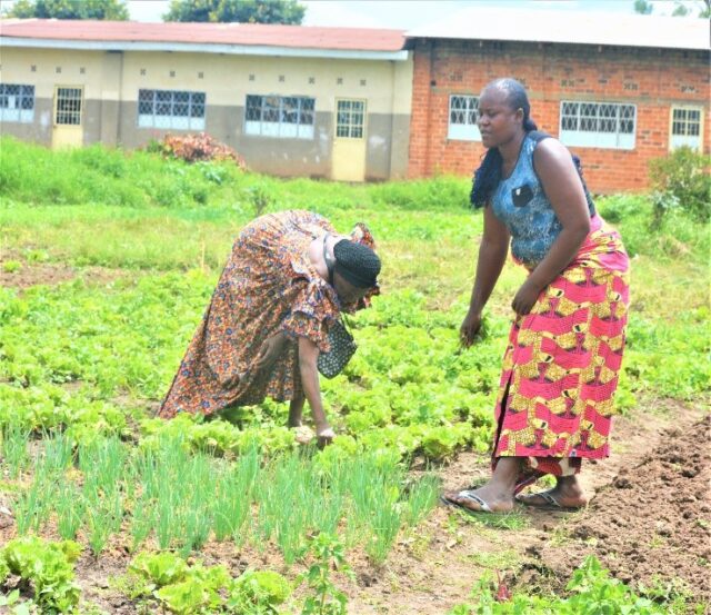 Femmes africaines