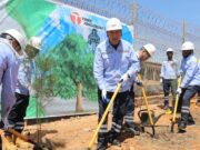 En marge de la journée nationale de l’arbre, le CEO lance la campagne « Pour une TFM verte, plantons chacun un arbre » TFM
