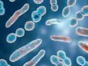 Haut-Katanga : l’épidémie du choléra refait surface