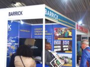 DRC Mining Week 2024 : Que pense Cyrille Mutombo sur la diversification industrielle ?