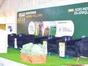 Haut-Katanga : face au changement climatique, la résilience comme stratégie d’adaptation