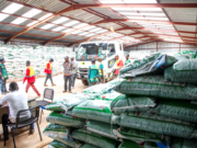 Campagne agricole 2024-2025 : TFM remet des intrants agricoles pour plus de 1500 hectares dans sa concession