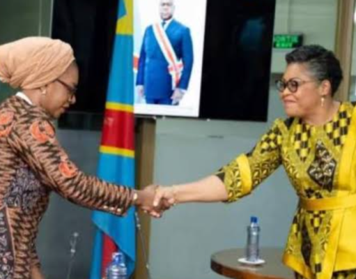 Décret de la première ministre : Enfin ! Reconnaissance en RDC du statut de l’Artiste et du professionnel de la culture comme professions : quelques réactions des Artistes Lushois