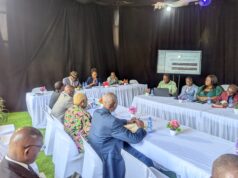 Rumba congolaise à l’ère du numérique : mémoire, enjeux et perspectives