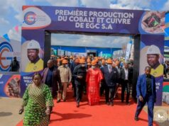 Cobalt : Vers une chaîne d’approvisionnement conforme aux normes ESG grâce à l’EGC